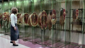 studio psicologia e counseling milano the cell studio psicologia e counseling milano the cell