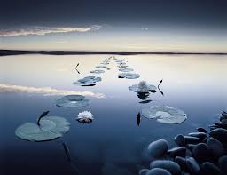 morte vita oltre la vita studio psicologico Milano Dr. Francesca Minore